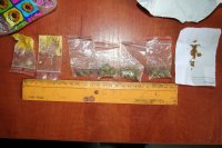 Marihuana zabezpieczona przez zabrzańskich policjantów
