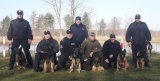 Diana - policyjny pies wyszkolony do wyszukiwania zapachów materiałów wybuchowych podczas szkolenia w Zakładzie Kynologii Policyjnej w Sułkowicach