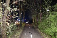 Miejsce śmiertelnego wypadku drogowego - samochód volkswagen passat kombi uderzył w drzewo i zatrzymał się na ścieżce rowerowej