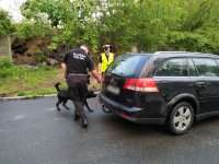 Zdjęcie kolorowe: policjanci zabrzańskiej drogówki i funkcjonariusz KAS z psem wyszkolonym do wyszukiwania narkotyków podczas kontroli trzeźwości kierujących samochodami