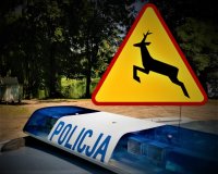 Zdjęcie kolorowe: napis policja i znak uwaga dzikie zwierzęta.